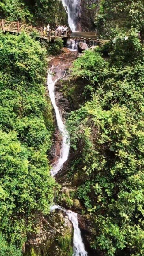 利好“组合拳”强势出击,沪指半日大涨2%